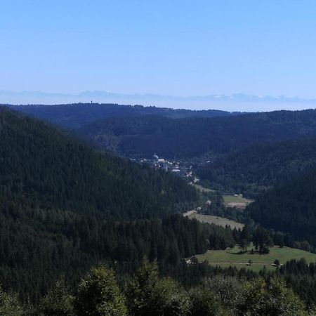Appartamento Haus Aretz Feldberg  Esterno foto