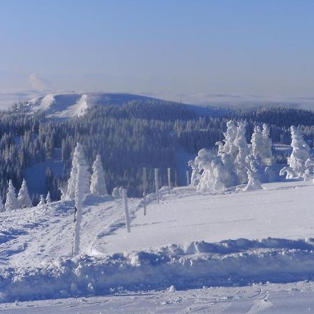 Appartamento Haus Aretz Feldberg  Esterno foto