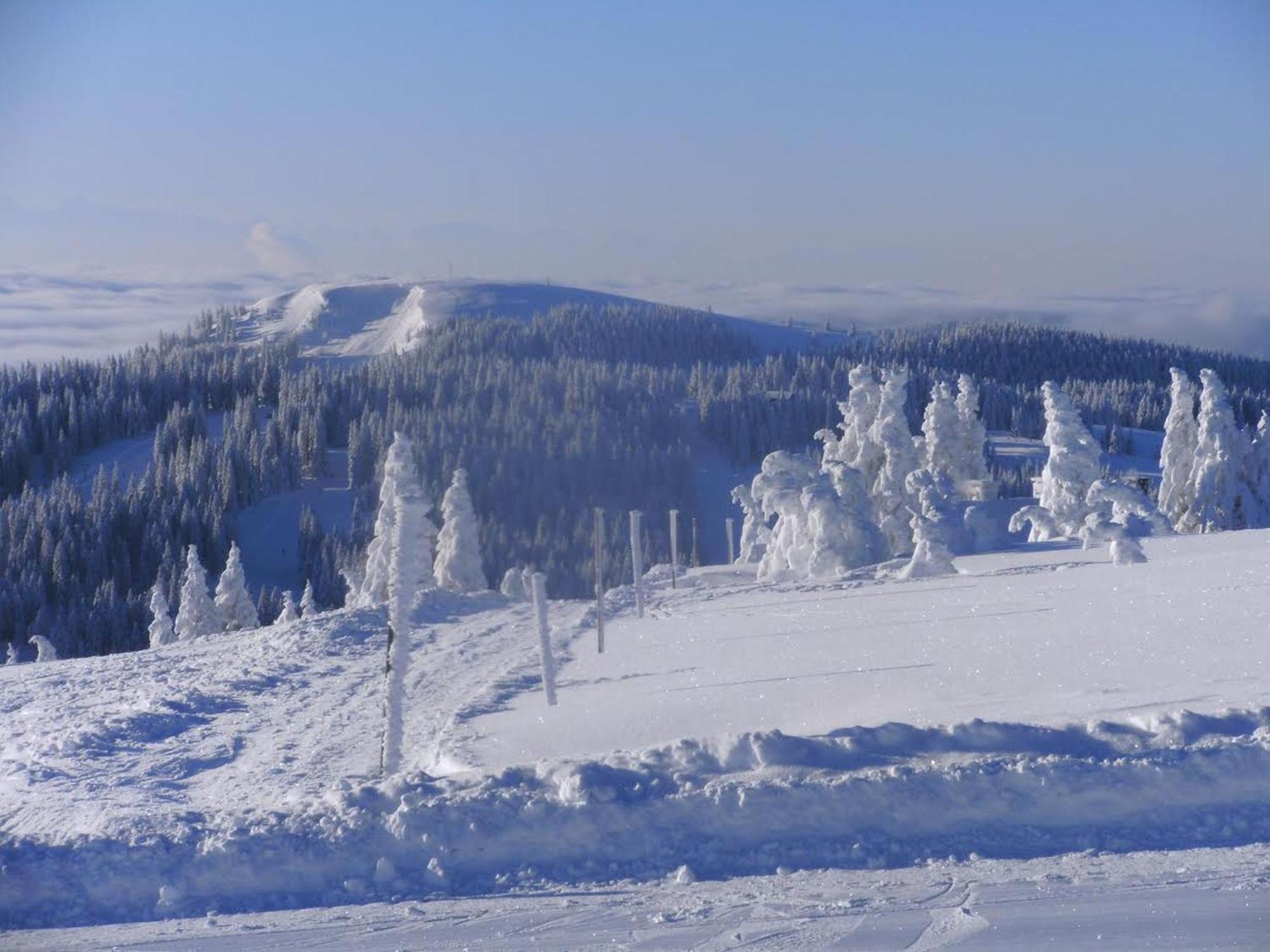 Appartamento Haus Aretz Feldberg  Esterno foto