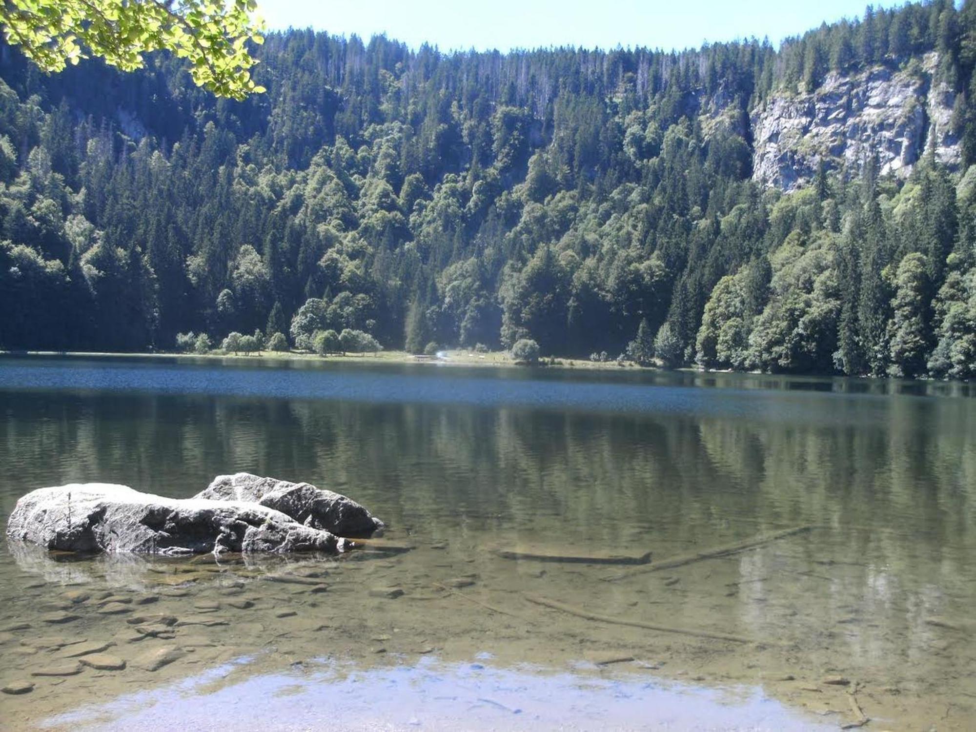 Appartamento Haus Aretz Feldberg  Esterno foto